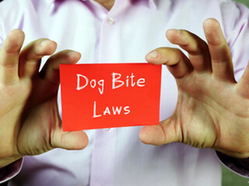 Dog bite laws
